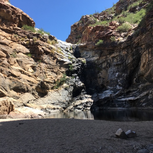 Meet your Posher, Carolyn - Picture 3 of 5